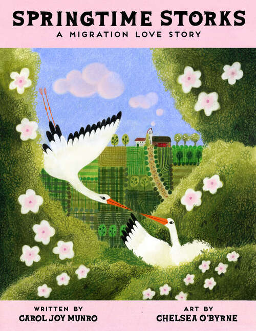 Book cover of Springtime Storks: A Migration Love Story