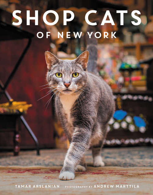 Book cover of Shop Cats of New York