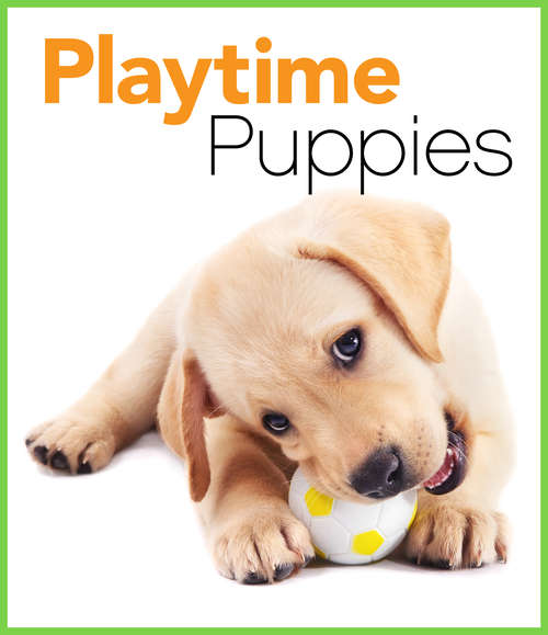 Book cover of Playtime Puppies