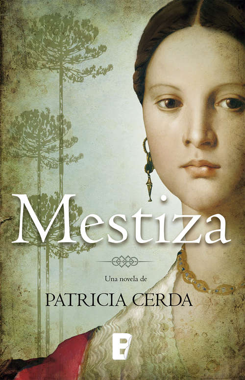 Book cover of Mestiza