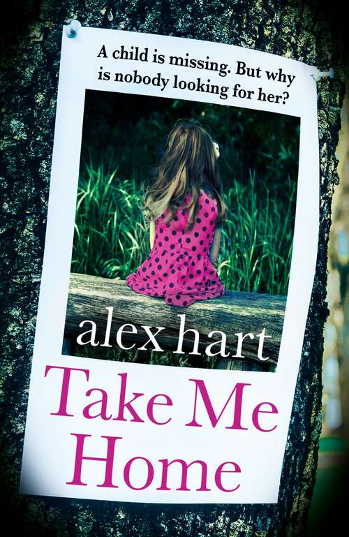 Book cover of Take Me Home