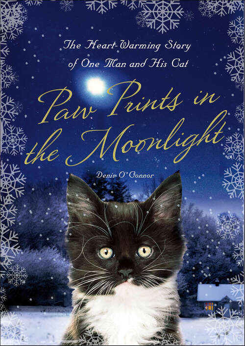 Book cover of Paw Prints in the Moonlight: The Heartwarming True Story Of One Man And His Cat