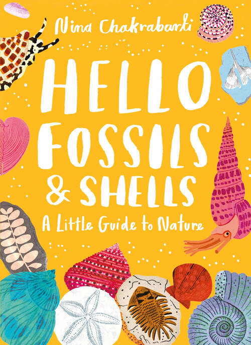 Book cover of Hello Fossils and Shells (Little Guides to Nature #4)