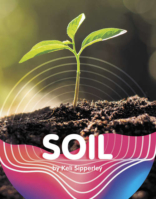 Book cover of Soil (Earth Materials and Systems)