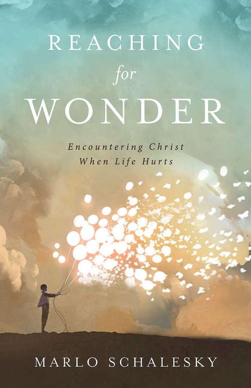 Book cover of Reaching for Wonder: Encountering Christ When Life Hurts