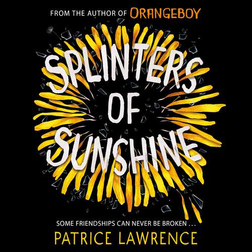 Book cover of Splinters of Sunshine (Black Stories Matter)