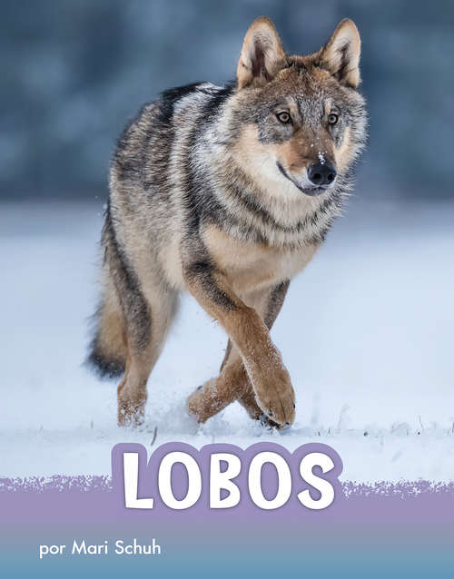 Book cover of Lobos (Animals en espanol)