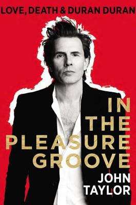 Book cover of In the Pleasure Groove