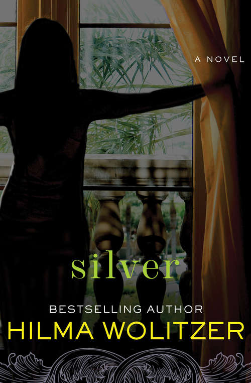 Book cover of Silver: A Novel