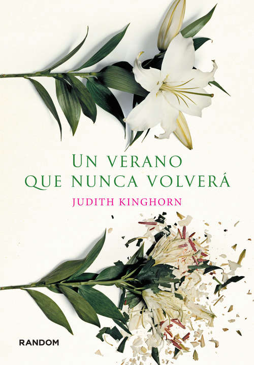 Book cover of Un verano que nunca volverá