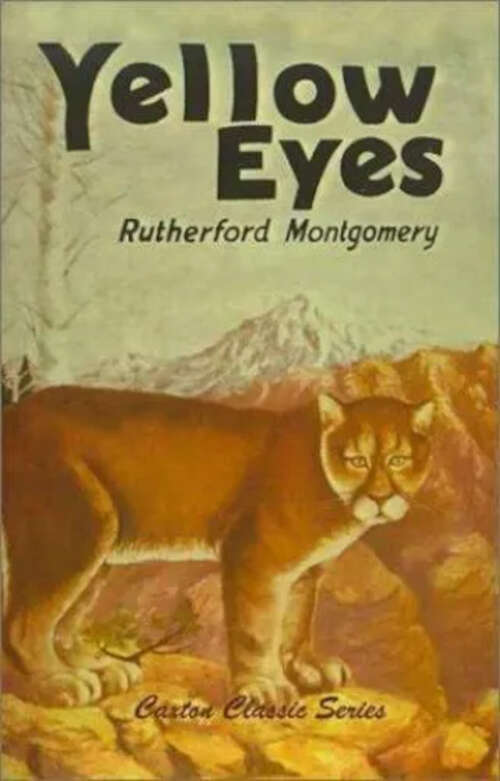 Book cover of Yellow Eyes