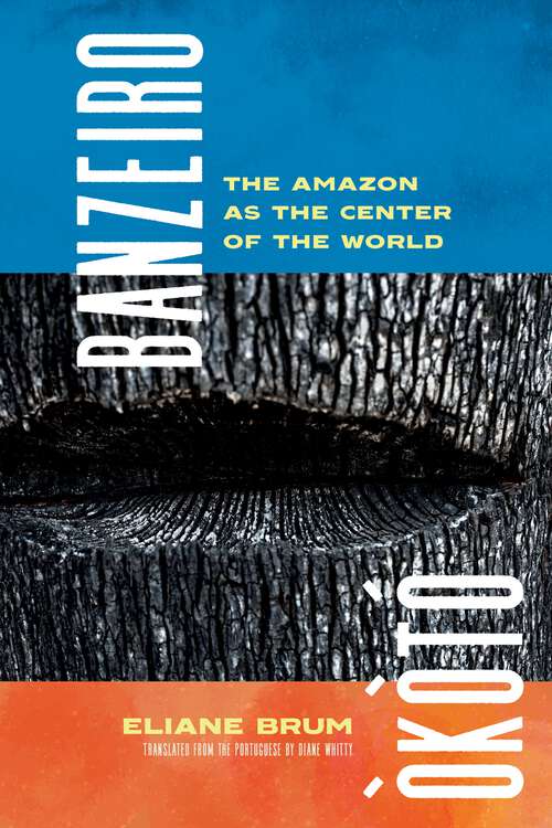Book cover of Banzeiro Òkòtó: The Amazon as the Center of the World