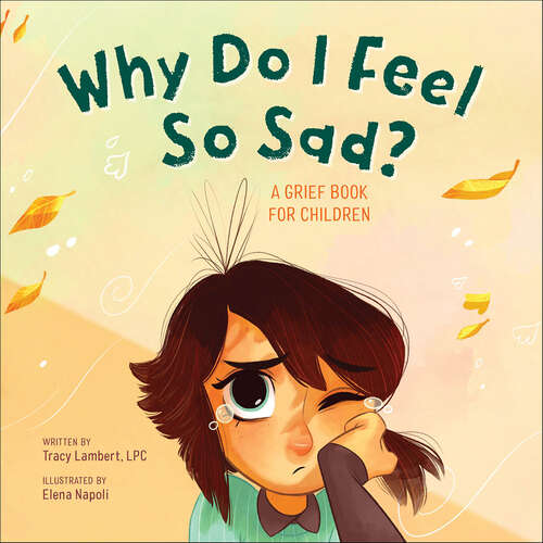 Book cover of Why Do I Feel So Sad?: A Grief Book for Children