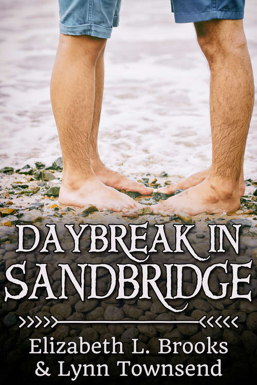 Book cover of Daybreak in Sandbridge