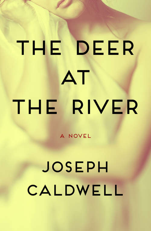 Book cover of The Deer at the River: A Novel