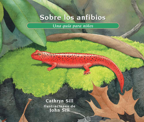 Book cover of Sobre los anfibios: Una guía para niños (About. . .)