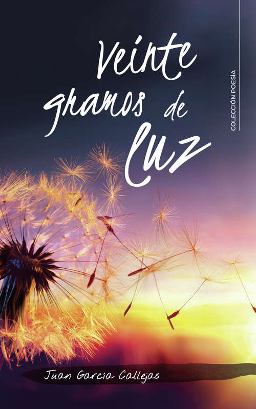 Book cover of Veinte gramos de luz