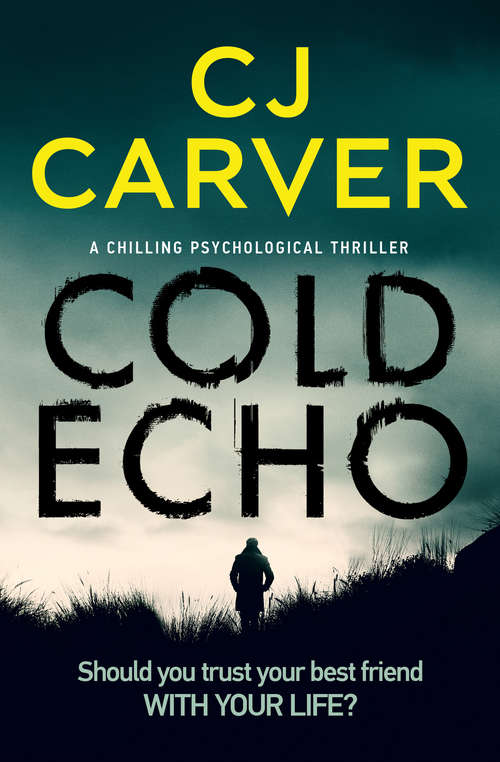 Book cover of Cold Echo: A Chilling Psychological Thriller (The Harry Hope Thrillers #1)