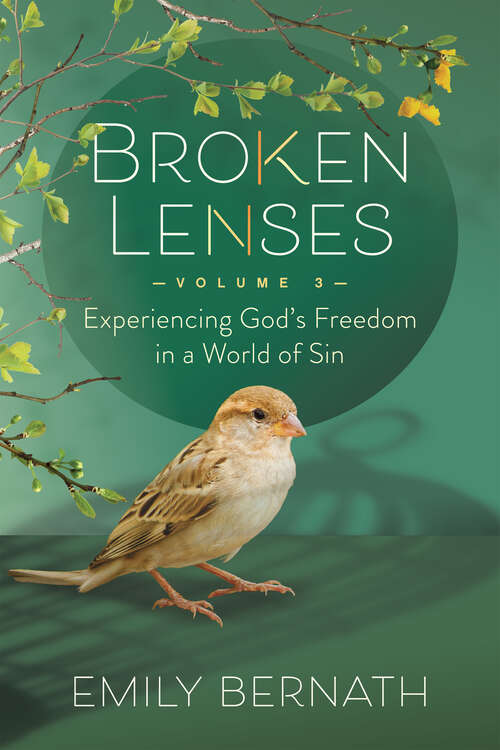 Book cover of Broken Lenses: Experiencing God’s Freedom in a World of Sin