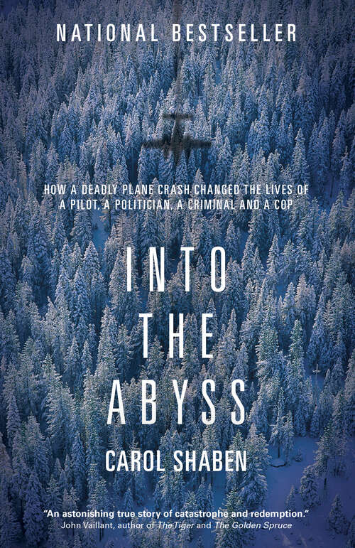 Book cover of Into the Abyss: How a Deadly Plane Crash Changed the Lives of a Pilot, a Politician, a Criminal and a Cop