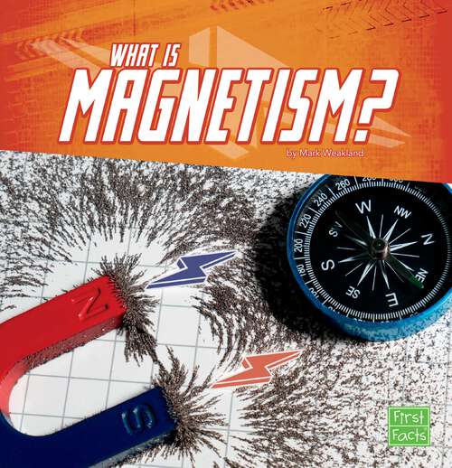 Book cover of What Is Magnetism? (Science Basics Ser.)