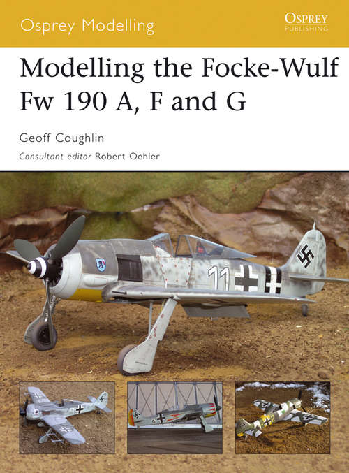 Book cover of Modelling the Focke-Wulf Fw 190 A, F and G