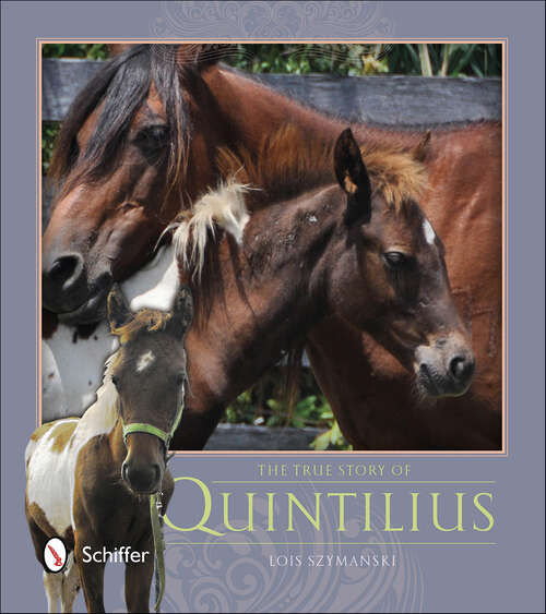 Book cover of The True Story of Quintilius