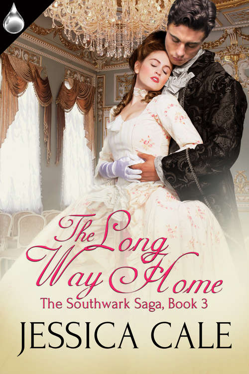 Book cover of The Long Way Home