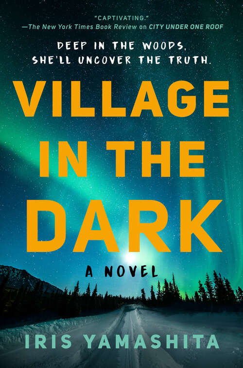 Book cover of Village in the Dark