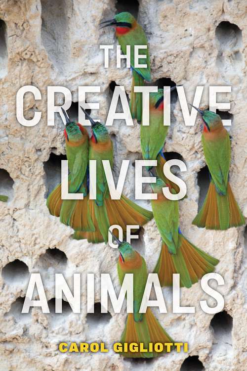 Book cover of The Creative Lives of Animals (Animals in Context)