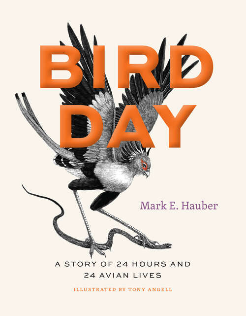 Book cover of Bird Day: A Story of 24 Hours and 24 Avian Lives (Earth Day Ser.)