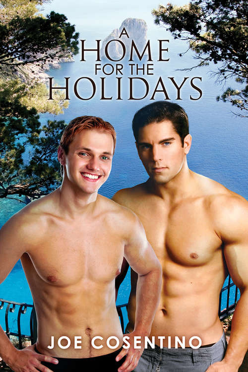 Book cover of A Home for the Holidays (Bobby And Paolo's Holiday Stories Ser. #1)