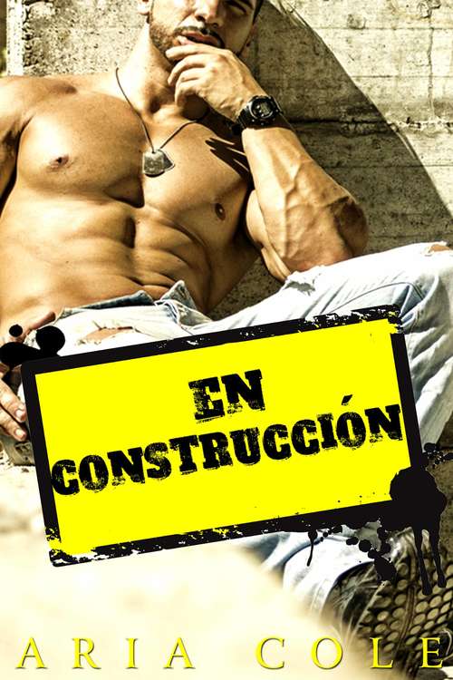 Book cover of En construcción