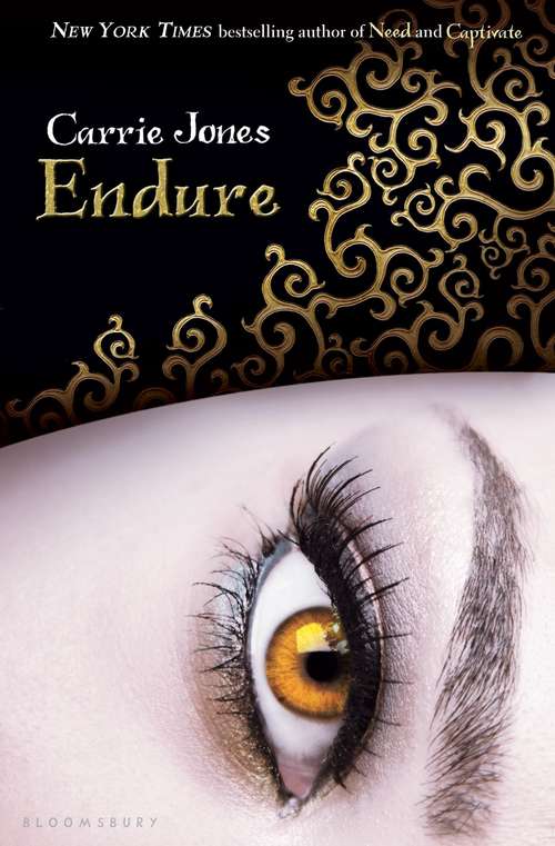 Book cover of Endure (Need Pixies #4)