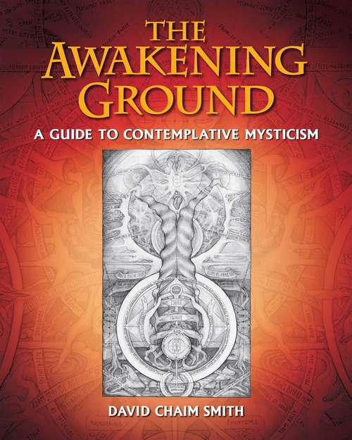 Book cover of The Awakening Ground: A Guide to Contemplative Mysticism