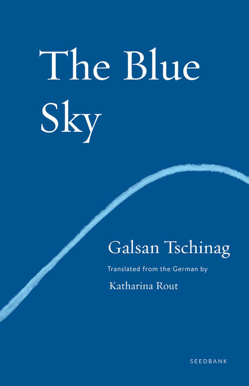 Book cover of The Blue Sky: A Novel (Seedbank Ser.)