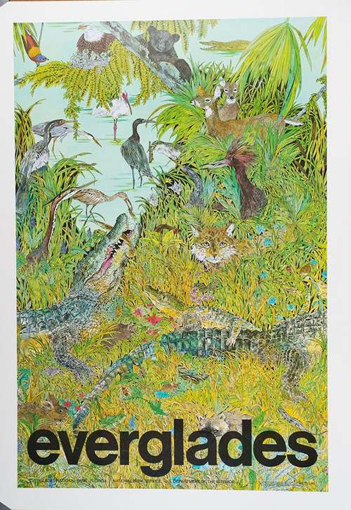 Book cover of Everglades Wildguide