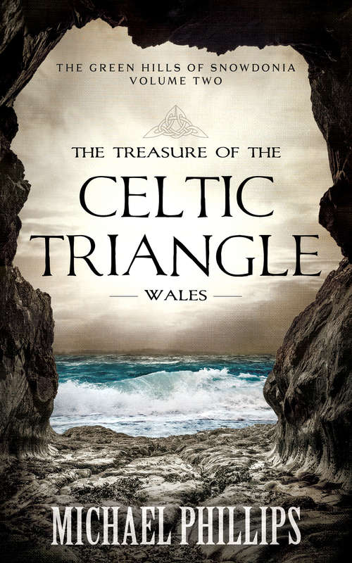 Book cover of The Treasure of the Celtic Triangle: Wales (Digital Original) (The Green Hills of Snowdonia #2)