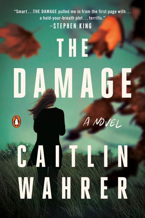 Book cover of The Damage: A Novel