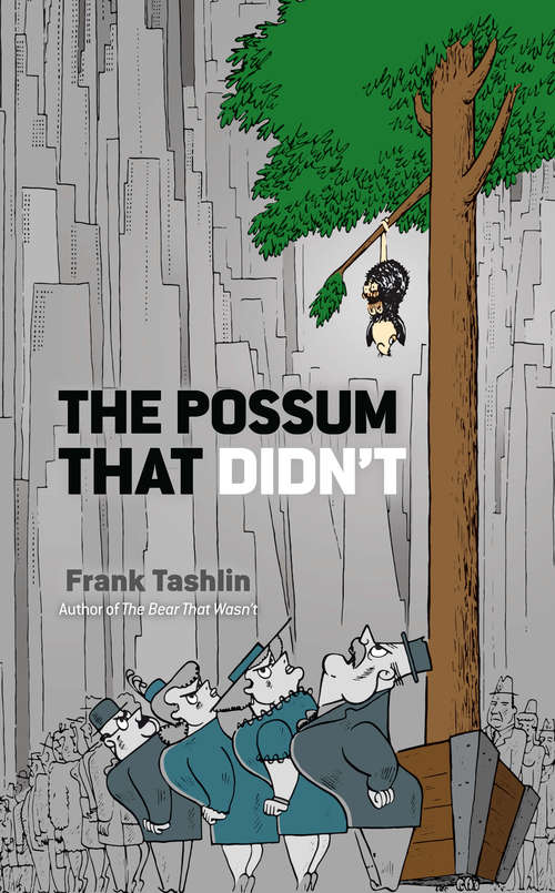 Book cover of The Possum That Didn't