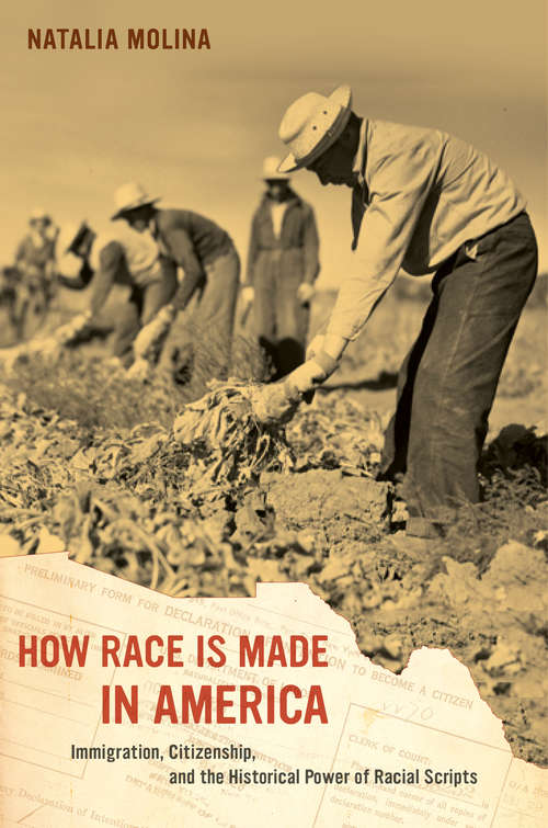 Book cover of How Race Is Made in America