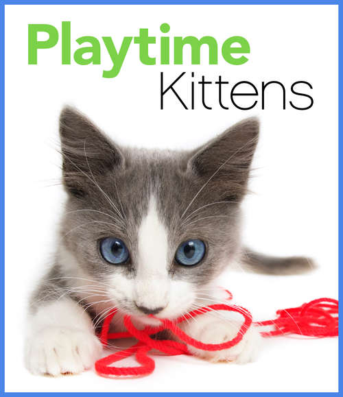 Book cover of Playtime Kittens