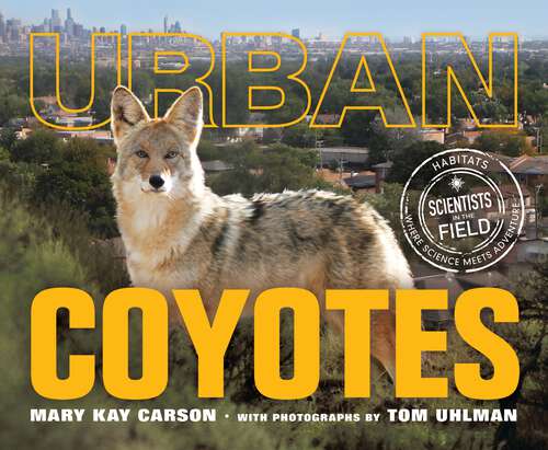 Book cover of Urban Coyotes (Scientists in the Field)