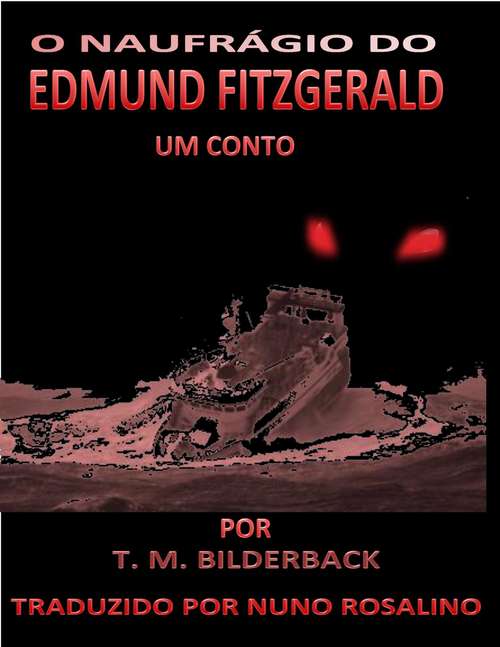 Book cover of O Naufrágio do Edmund Fitzgerald