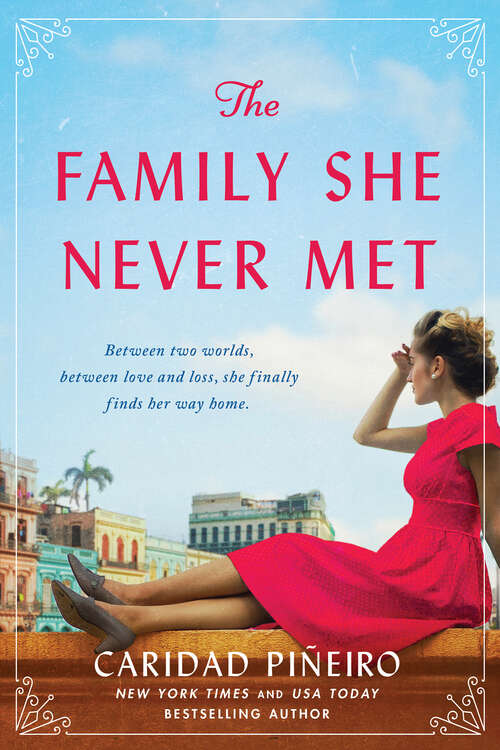 Book cover of The Family She Never Met: A Novel