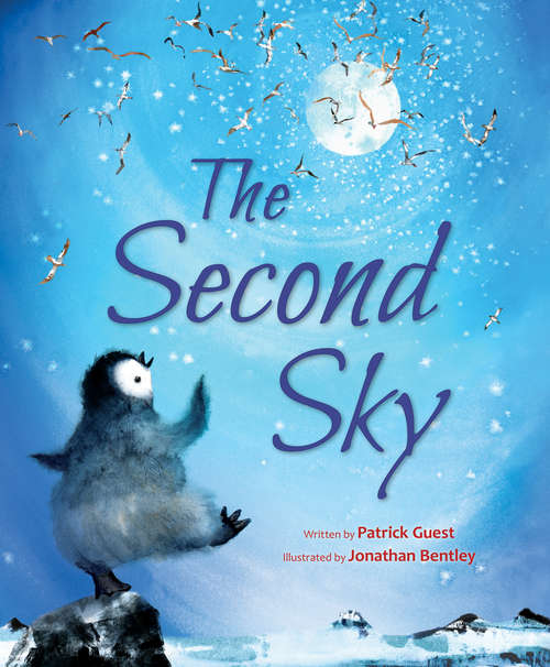 Book cover of The Second Sky