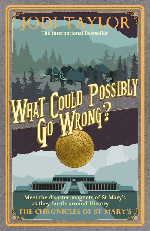 Book cover of What Could Possibly Go Wrong?