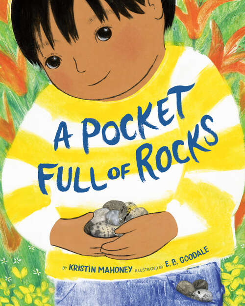 Book cover of A Pocket Full of Rocks