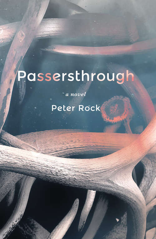 Book cover of Passersthrough