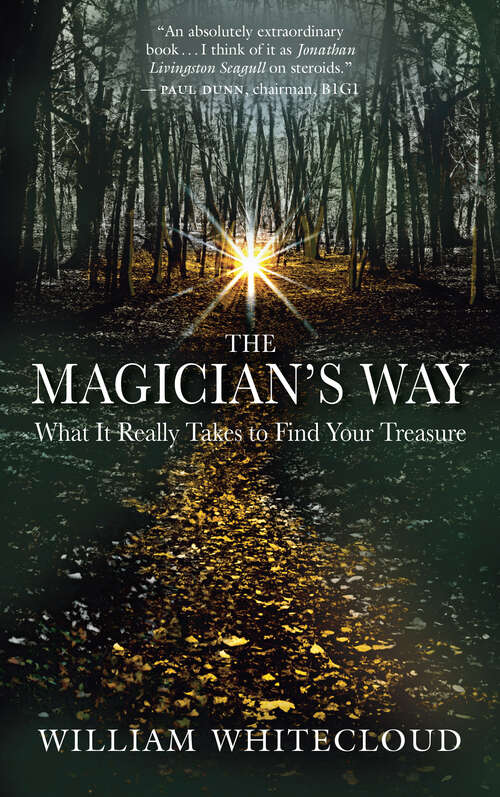 Book cover of The Magician's Way: What It Really Takes to Find Your Treasure